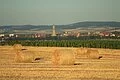 Daniel (church tower in Nördlingen) from afar