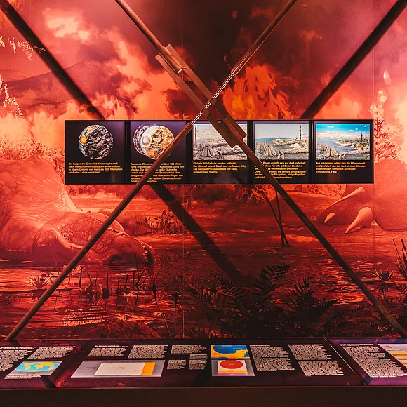 Blick auf eine Ausstellungswand im RiesKrater Museum
