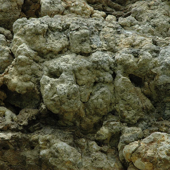 Detailaufnahme des Gesteins im Geotop Burschel in Hainsfarth.