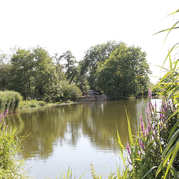 Blick auf die Wörnitz mit der Fürfällmühle.