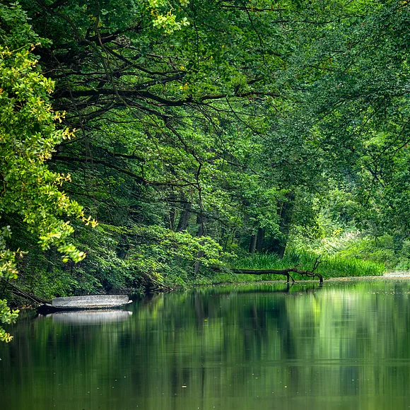Zählt zu den schönsten Geotopen in Bayern - der Karlsgraben "Fossa Carolina"