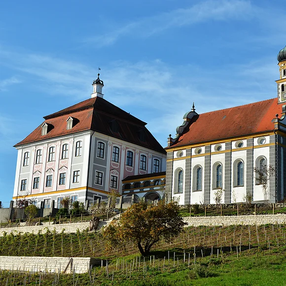 Blick auf das Schloss Leitheim mit davor liegendem Weinberg