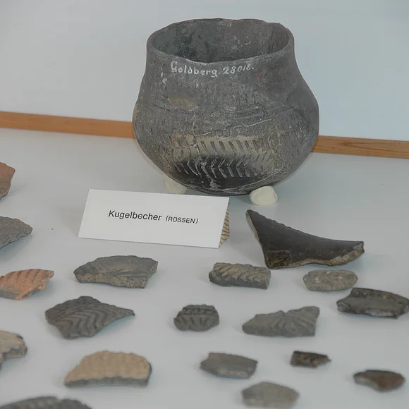 Scherben und ein Kugelbecher die im Goldbergmuseum ausgestellt sind