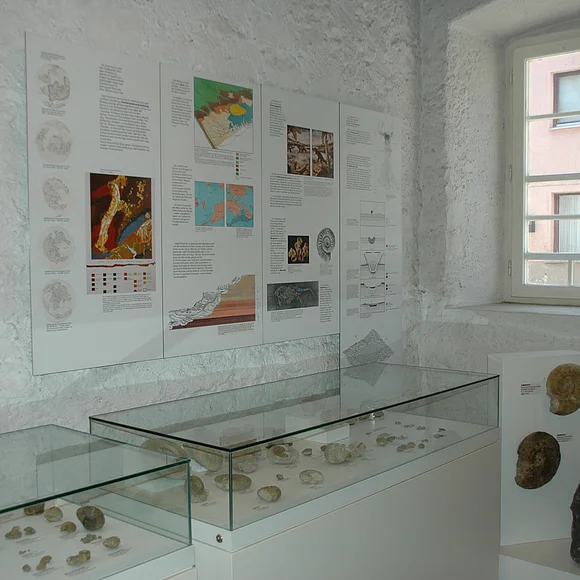 Blick auf Vitrinen mit archäologischen Ausstellungsstücken