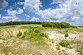 In einer flachen Grube stehen vereinzelt Büsche, während die Hänge aus bloßem Gestein bestehen. Am Horizont ist Wald zu erkennen.