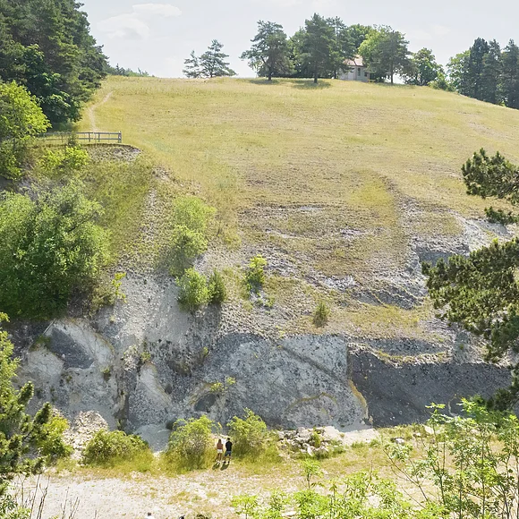 Oberhalb einer Felswand befindet sich ein Hang mit Wiese sowie einzelnen Bäumen am höchsten Punkt des Hügels.