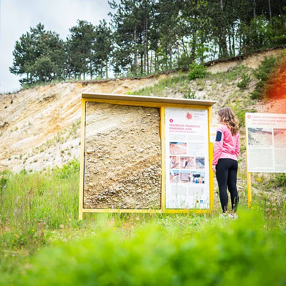 Eine Frau betrachtet das an einer Informationstafel angebrachte Sediment-Transfer-Präparat.