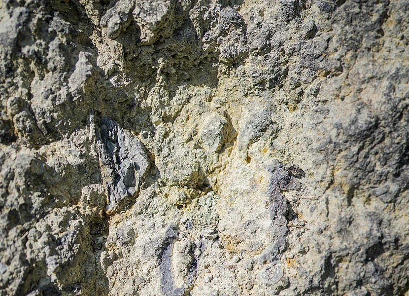 Geopark-Shooting 2021 In der unruhigen Oberfläche des Gesteins ist ein schwarzer länglicher Einschluss zu erkennen.