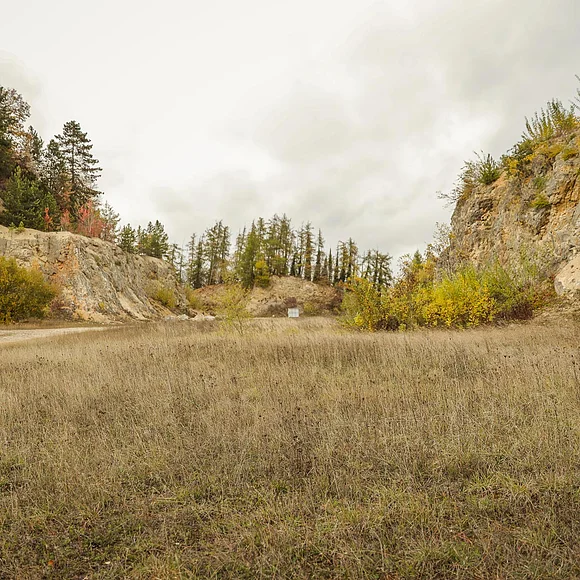 Ein Schotterweg führt in einen ehemaligen Steinbruch mit Büschen und Bäumen auf den Felswänden.