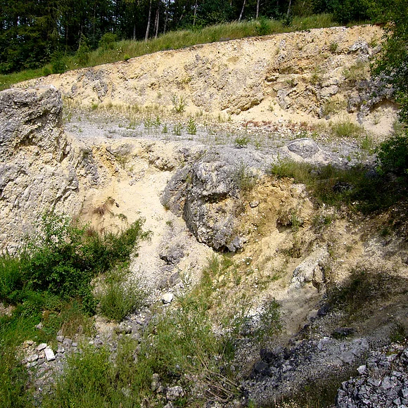 An einem Hang ist helles Gestein aufgeschlossen, das teils von Büschen und Gras bewachsen ist.