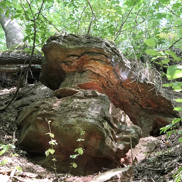An einem Hang befindet sich eine kleine Felsformation aus geschichtetem Gestein.