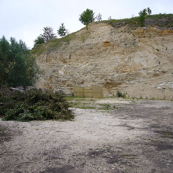 In einem Steinbruch ragt eine helle Felswand steil auf. Obenauf stehen einzelne Bäume.