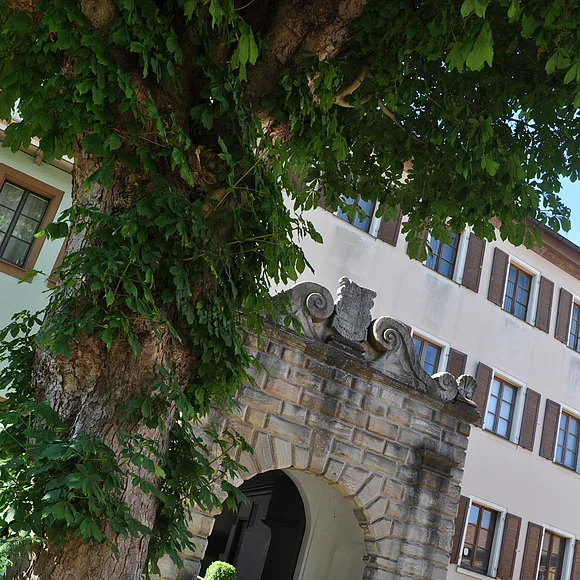 Der Torbogen zum Stadtschloss