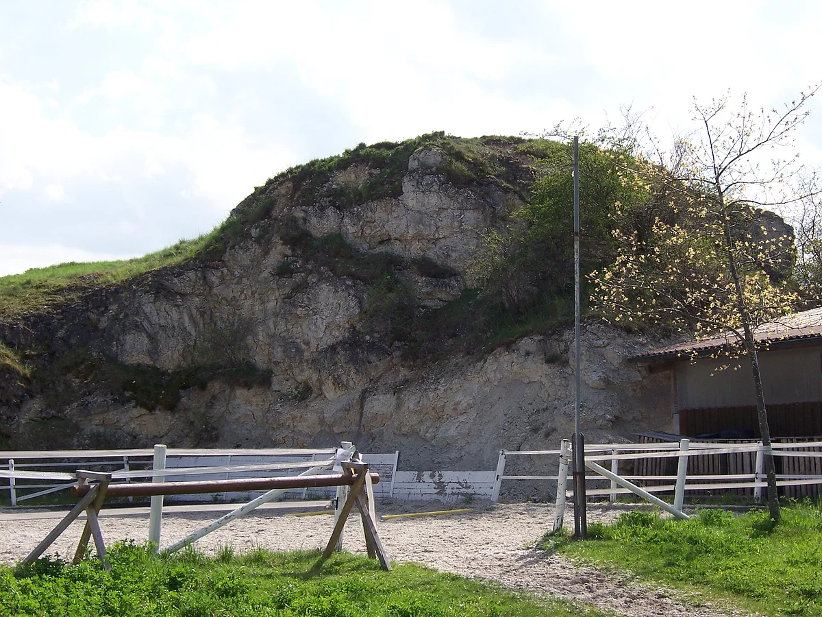 Ein großer Felsblock ist mit Gras bewachsen. Im Vordergrund sind mehrere Zäune zu sehen.