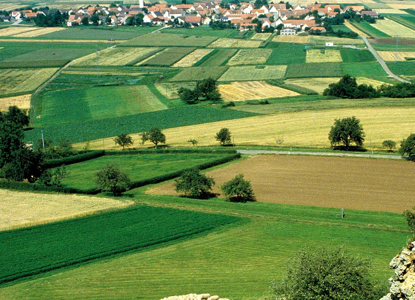 Traditional sheep grazing on heath with view of Ries Am Fuße eines Hangs mit Felsen weidet eine Herde Schafe. Dahinter erstreckt sich eine weite Landschaft mit Äckern und Siedlungen.