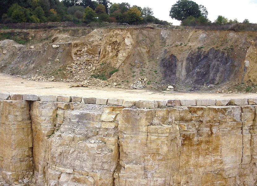 Bunte Breccia and Upper Jurassic limestone (Malmian) in Gundelsheim quarry An den gestuften Abbruchkanten eines ehemaligen Steinbruchs ist helles Gestein zu sehen.