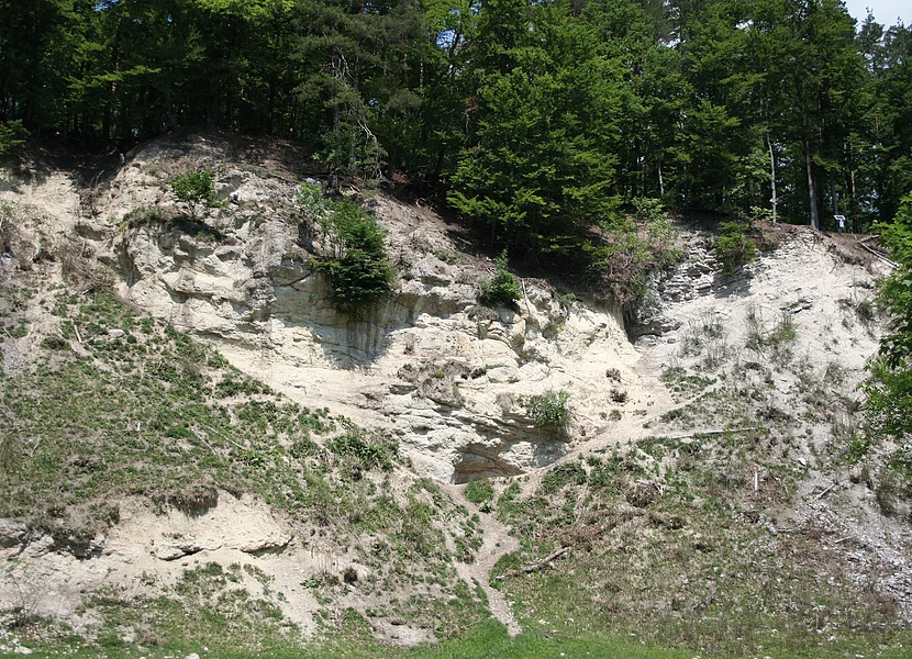 Der felsige Hang eines ehemaligen Steinbruchs ist teils bewachsen. Oberhalb der Abbruchkante stehen viele Bäume.