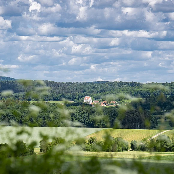 In der Ferne sind zwischen Wald mehrere Gebäude zu sehen. Im Vordergrund befinden sich Äcker und Zweige eines Baumes. Am Himmel stehen viele kleine Wolken.