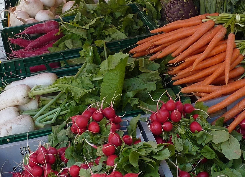 Weekly market in Nördlingen An einem Markstand wird verschiedenes Gemüse und Obst angeboten.