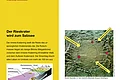Eine Informationstafel über den Rieskrater, seine geologische Entwicklung und die Fauna. Enthält Diagramme und Fotos von Fossilien. Oben rechts im Eck das Logo der Stadt Monheim, oben links das Logo vom Geopark Ries.