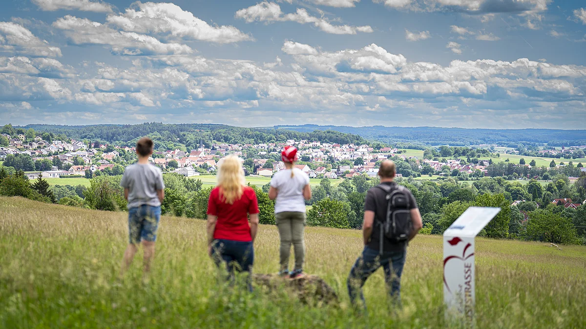 Vier Personen stehen auf einer Wiese und blicken auf eine Stadtlandschaft in der Ferne.
