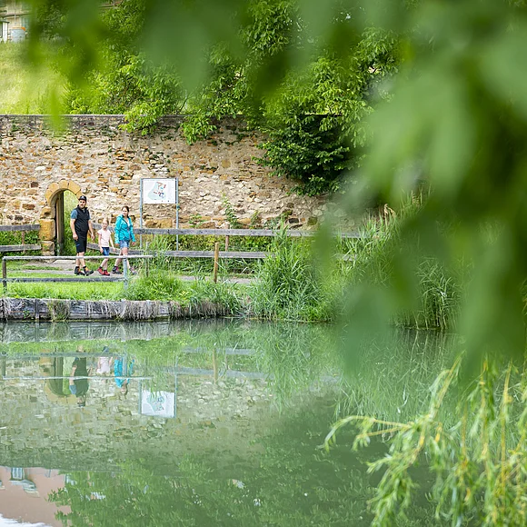 Eine Familie spaziert an einem Teich entlang, im Hintergrund eine Steinmauer und Bäume.
