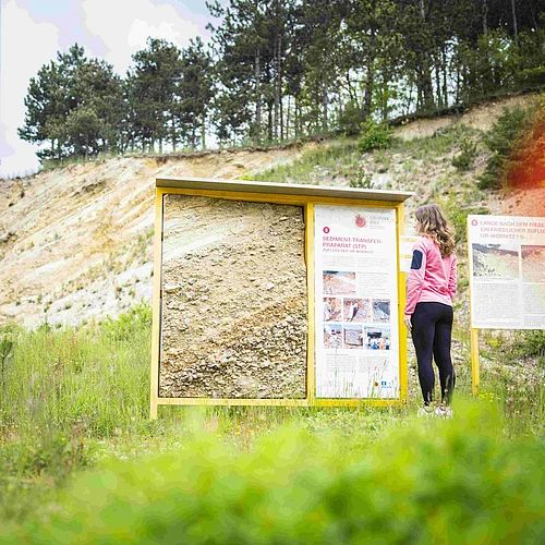 Eine Frau betrachtet an einer Lehrtafel das Sediment-Transfer-Präparat, das an der dahinter liegenden Felswand entnommen wurde.
