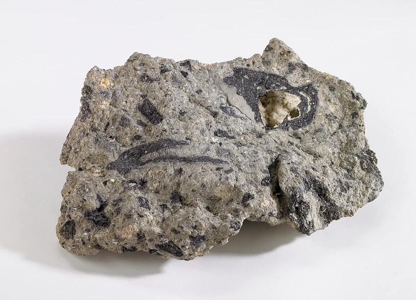 Suevite (Schwabenstein) Ein graues Gesteinsbruchstück zeigt mehrere schwarze, teils längliche Einschlüsse.