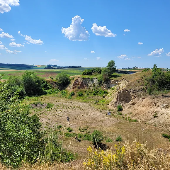 Blick von oben in das Geotop Sandgrube "Am Limberg" bei Unterwilflingen. In der Sohle sind klein 2 Infotafeln zu erkennen.
