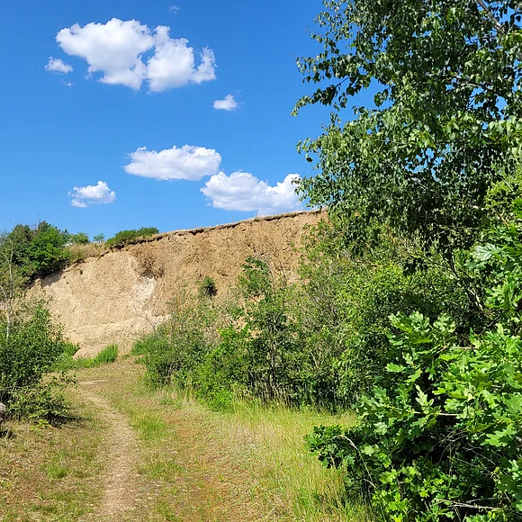 Fußweg ins Geotop Sandgrube "Am Limberg", im Hintergrund eine Steinbruchwand und blauer Himmel.